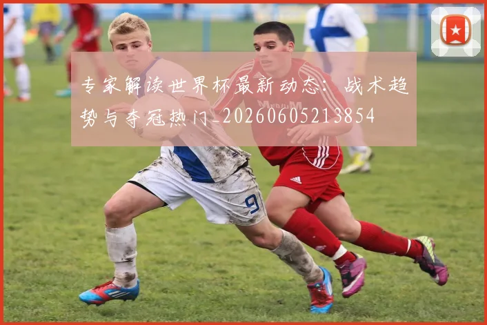 专家解读世界杯最新动态：战术趋势与夺冠热门_20260605213854